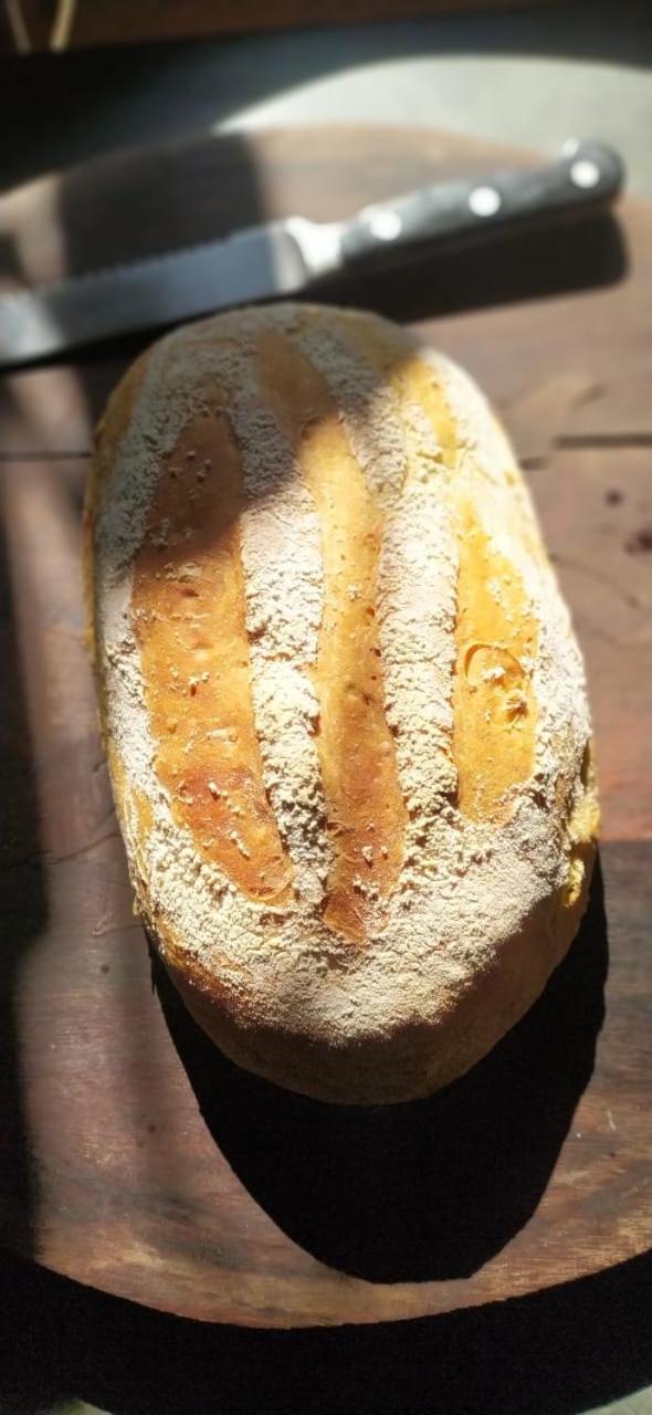 Sitio Alecrim Gastronomia E