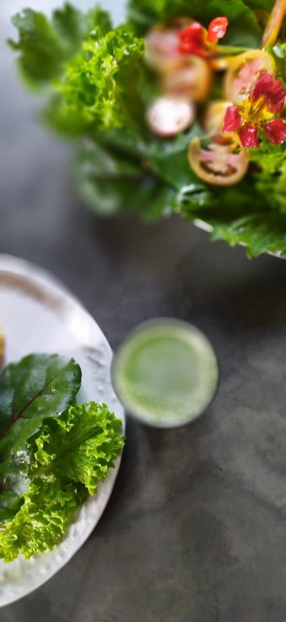 Sitio Alecrim Gastronomia E Homestay Alagoa