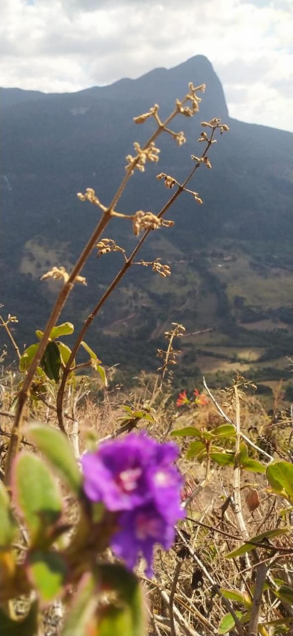 Sitio Alecrim Gastronomia E