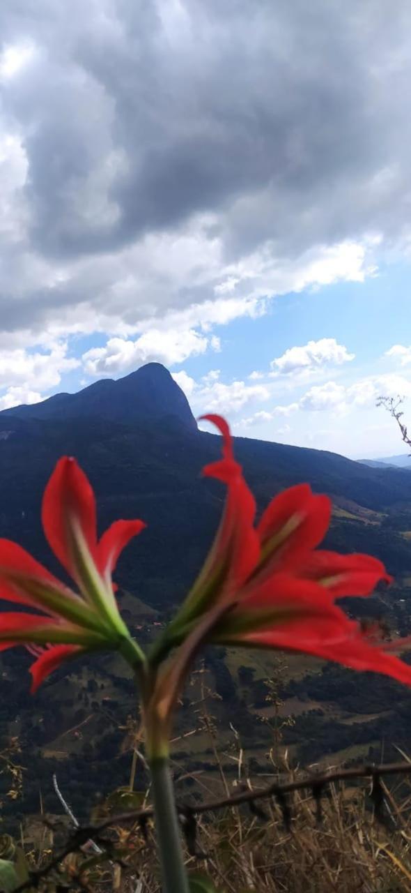 Sitio Alecrim Gastronomia E Homestay