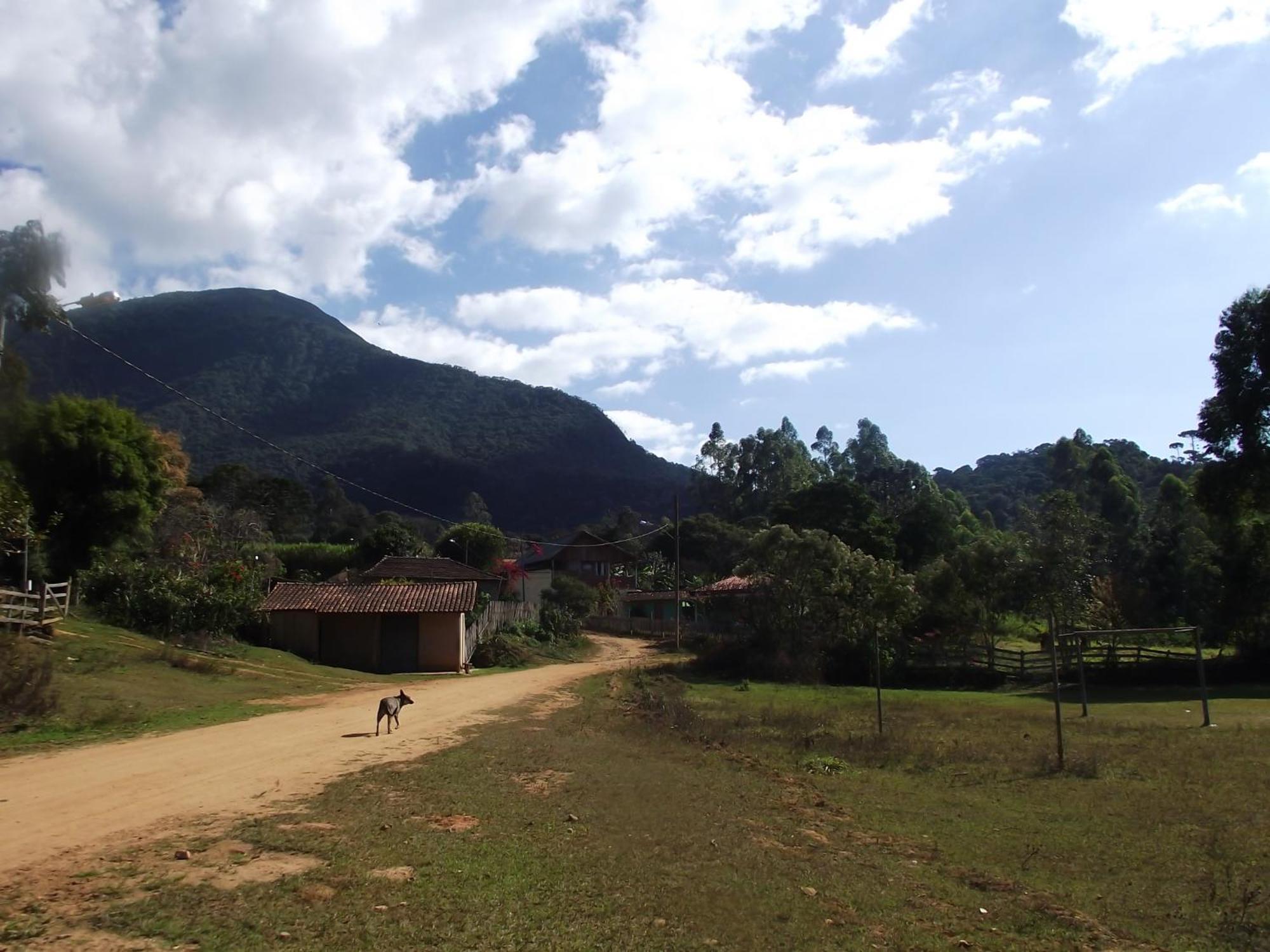Sitio Alecrim Gastronomia E Homestay Alagoa