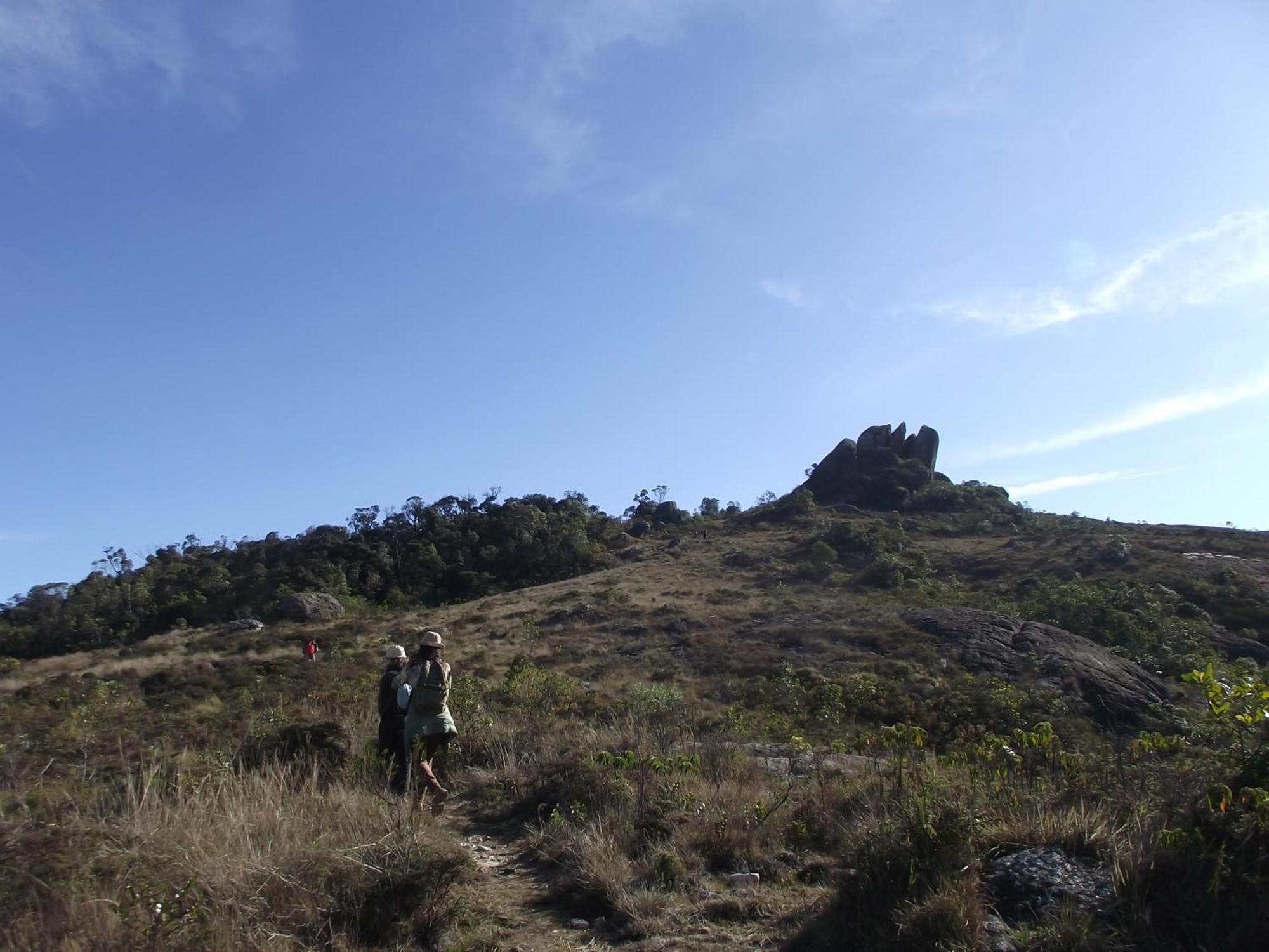 Homestay Sitio Alecrim Gastronomia E Alagoa